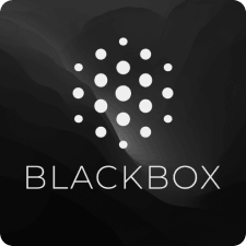 Blackbox AI